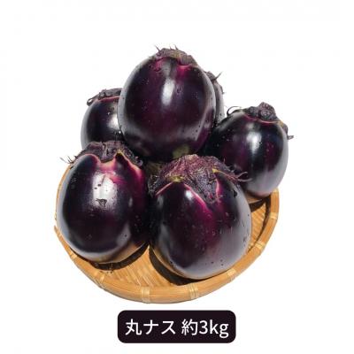 ふるさと納税 三条市 丸ナス 約3kg(8〜10個)  [さとうファーム] 【010S017】
