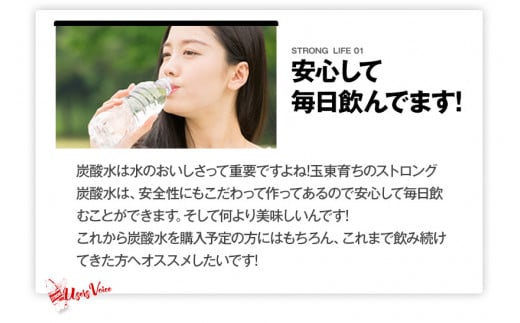 6か月定期便強炭酸水6箱（計6回お届け 合計6ケース: 500ml×144本） 《お申込み月の翌月から出荷開始》 強炭酸水を使用! ---fn_gsttei_12l_42000_mo6num1---