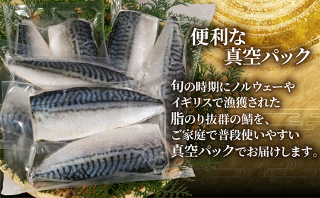 訳あり 腹骨取り 塩さば 真空パック 計8枚（2枚入×4パック） 鯖 鯖 鯖 鯖 鯖 カネジョウ
