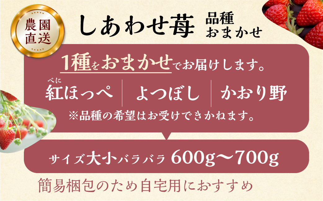 【2026年1月以降発送】 自宅用 品種おまかせ いちご 600-700g [しあわせ苺] サイズ バラバラ のため 訳あり 訳アリ 農園直送 こだわりの 甘さ フルーツ 先行予約 スイーツ 苺 イチ