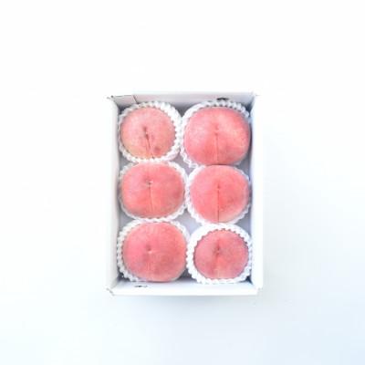 ふるさと納税 山梨市 【発送月固定定期便】採りたて!フルーツ定期便全6回 |  | 02