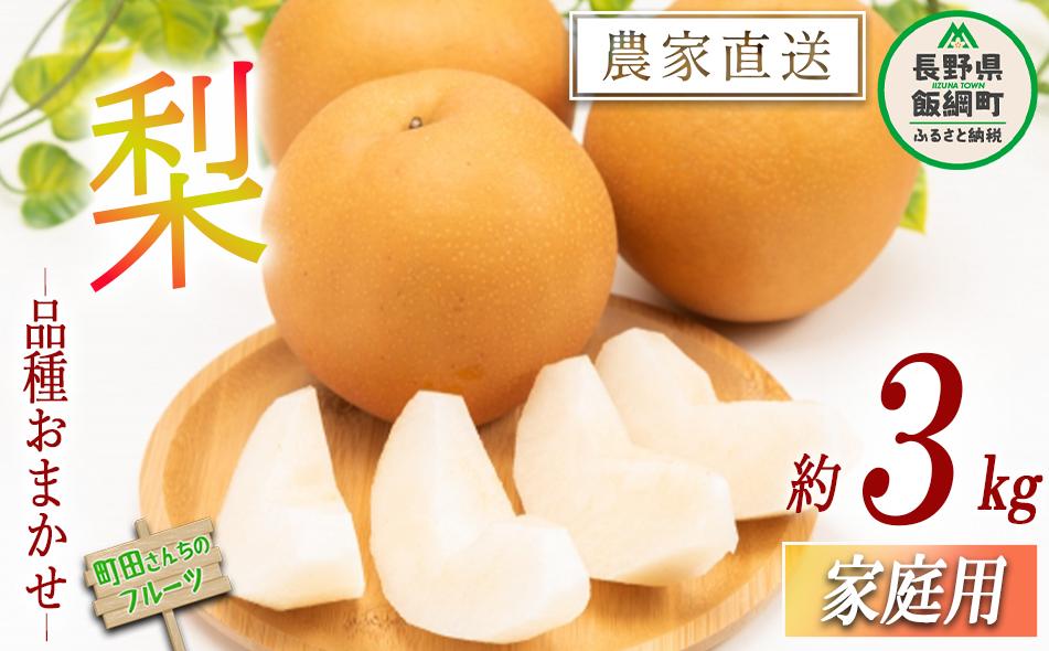 
            長野県産 梨 なし 家庭用 3kg 先行予約 （ 品種おまかせ 幸水 豊水 南水 ） ナシ 農家直送 フルーツ 果物 信州 配送先は本州限定 2024年9月上旬頃から2024年10月上旬頃まで順次発送予定 町田さんちの梨  長野県 飯綱町 [0685]
          