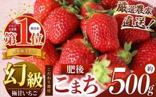 イチゴ 生産量 西 日本一 ‼ 厳選農家直送 いちご 肥後こまち 約 500g | フルーツ 果物 くだもの 苺 いちご 熊本県 玉名市