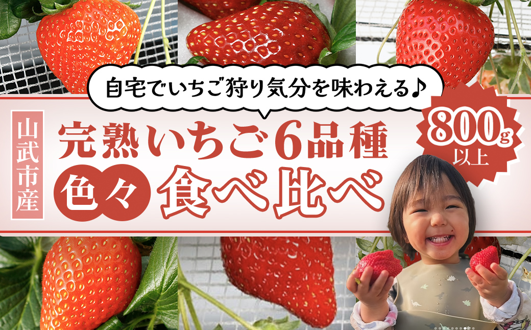 【2月から発送】自宅でいちご狩り気分! 完熟いちご6品種食べ比べセット 800g以上 ／いちご イチゴ 苺 果物 くだもの フルーツ 旬のくだもの 季節のフルーツ 食べ比べ 詰め合わせ セット 希少品