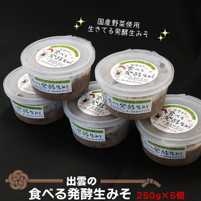 【ふるさと納税】出雲の食べる発酵 生 みそ 250g×5個 | 味噌 調理 料理 おかず きゅうり 豆腐 アレンジ 食事 家庭 昼食 夕食 冷蔵 お取り寄せ グルメ 人気 おすすめ 島根県 出雲市