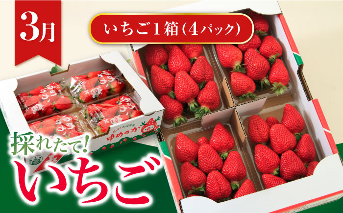 【全4回定期便】シュシュのスイーツコース２ 大村市 おおむら夢ファームシュシュ [ACAA068]