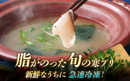 寒ブリ しゃぶしゃぶ セット 2人前《壱岐市》【若宮水産】 [JAH001] ブリしゃぶ ぶりしゃぶ 寒ブリ しゃぶしゃぶ 鍋  鰤 ぶり 鰤しゃぶ 海鮮鍋 10000 10000円 1万円 コダワリ