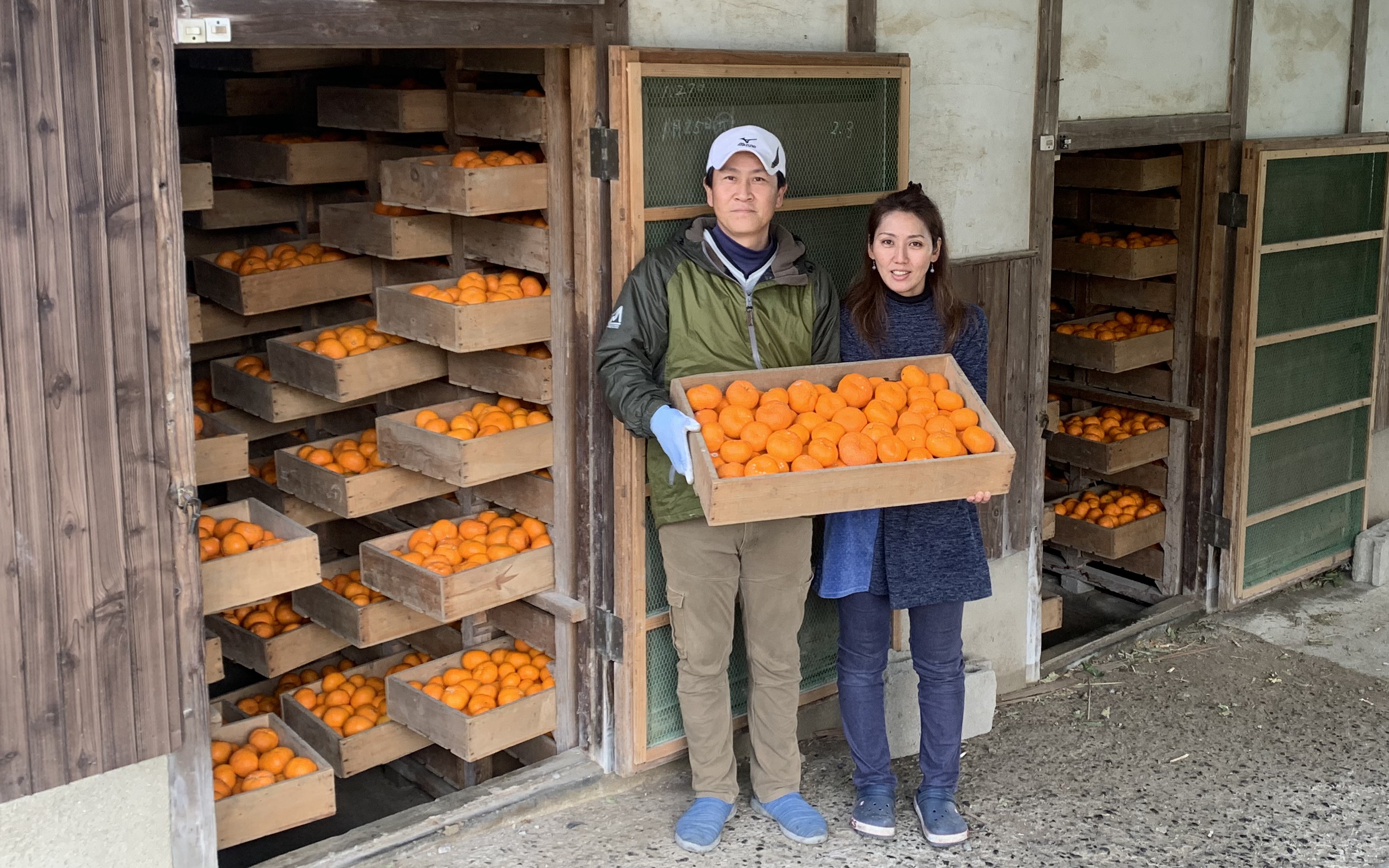 
                  石橋果樹園 蔵入りみかん 4.5kg(35～45個)
                
