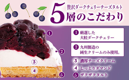【全12回定期便】贅沢ダークチェリータルト(18cm)【心優 －Cotoyu Sweets－】[KAA458]