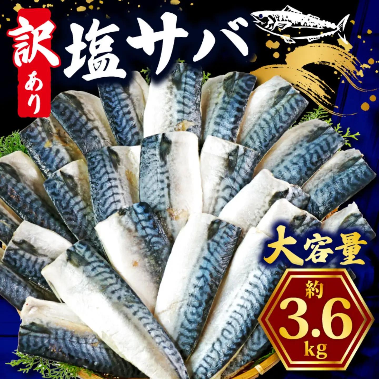 訳あり 塩鯖 3.6kg 鯖