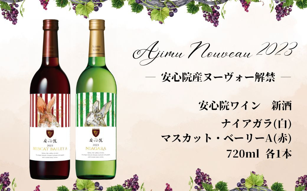 
安心院ワイン 新酒赤・白セット(合計1.44L・720ml×2本)酒 お酒 ワイン 白ワイン 赤ワイン アルコール 飲料 ぶどう 葡萄 常温 飲み比べ セット【107300900】【時枝酒店】
