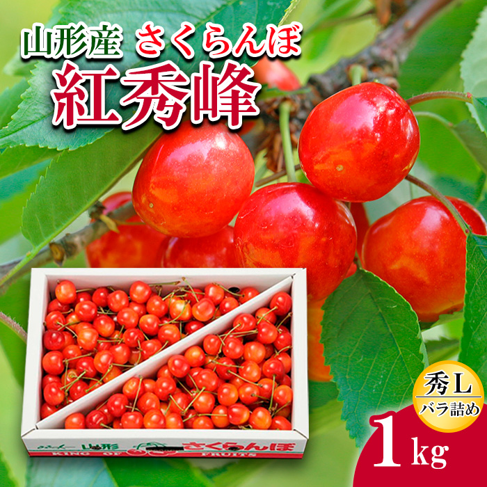 さくらんぼ紅秀峰 L 1kg バラ詰め 【令和7年産先行予約】FU20-