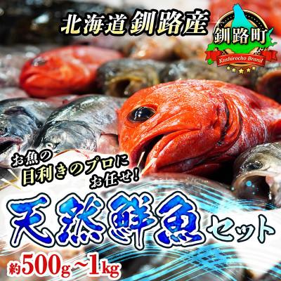 ふるさと納税 釧路町 お魚の目利きのプロにお任せ!北海道産 天然鮮魚 約500g〜1kg