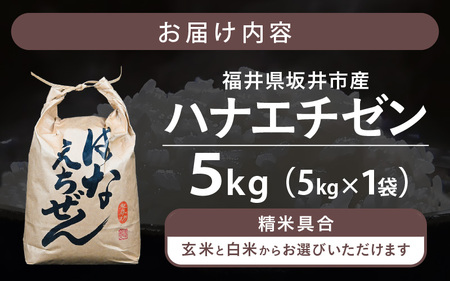 【令和7年産】坂井市産 ハナエチゼン 5kg 【白米】 米 コメ お米 華越前 [A-10212_01]