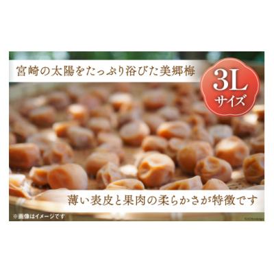 ふるさと納税 美郷町 梅 南高梅 美郷梅使用 梅干し 昆布 シソ 風味 セット 3L サイズ [31ab0111] |  | 01