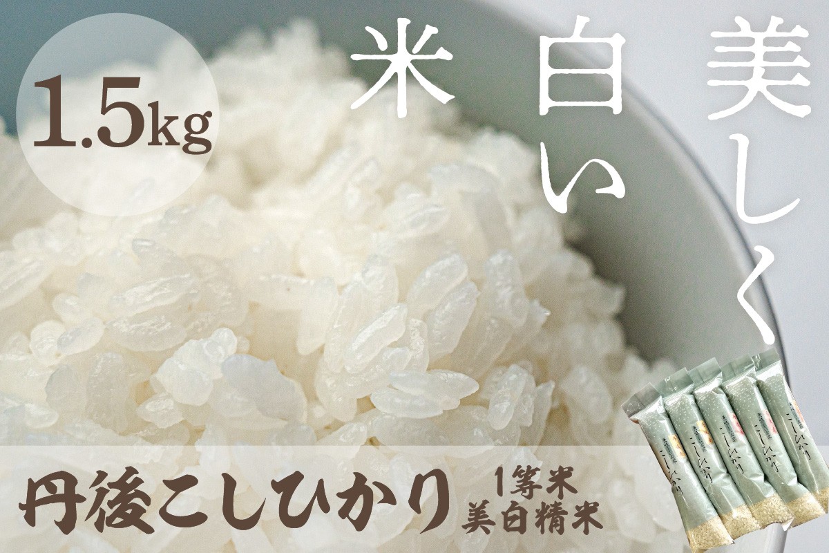 
                  令和8年産　美白精米 丹後こしひかり 1.5kg(2合×5袋) 1等米　京都産 京丹後産 コシヒカリ こしひかり 美白精米 美白米 精米 米 こめ コメ 1等米 ご飯 ごはん 白飯 白米 ふるさと納税 京丹後 丹後 1.5kg おすそ分けにも　MU00090
                