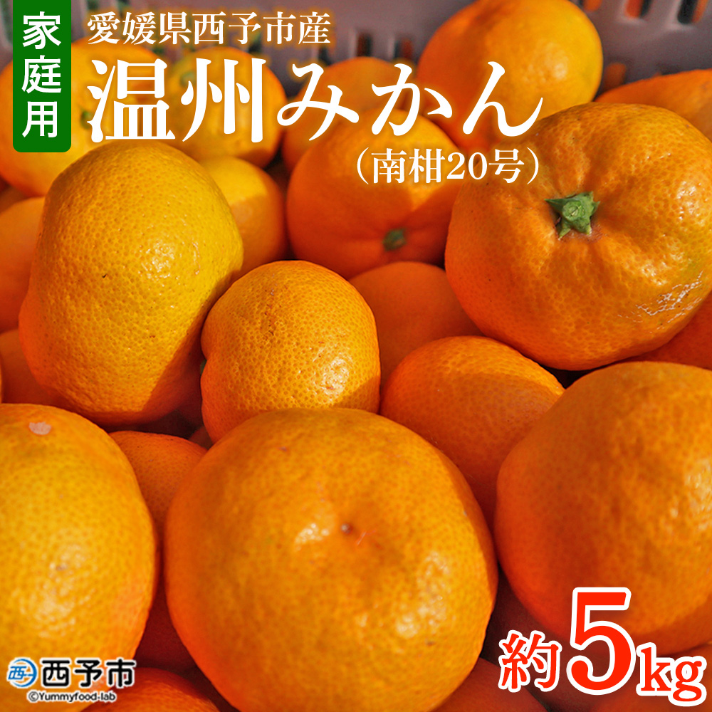 ＜愛媛県西予市産 温州みかん（南柑20号）家庭用 約5kg（サイズ不揃い・小傷あり）＞ 訳あり 果物 くだもの ミカン 柑橘 フルーツ 段畑みかん株式会社 愛媛県 西予市