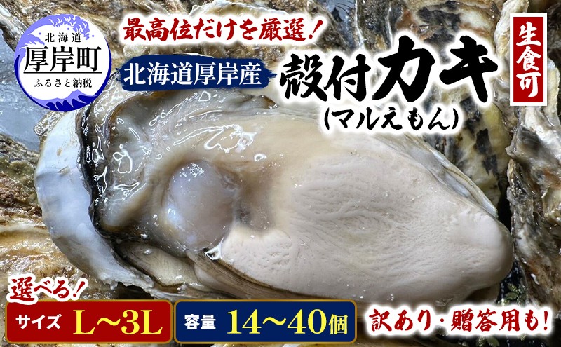 
                  訳あり 北海道 厚岸産  殻付き 牡蠣 選べるサイズ・容量【光輝】 [ 魚貝類 生牡蠣 海鮮 海の幸 生食用牡蠣 生食用 生食用殻付き牡蠣 濃厚 甘み  オイスター ]   [№5863-1073-01]
                