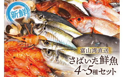 
[№5313-0008]魚 富山湾直送 さばいた鮮魚セット 4～5種 旬 新鮮 鮮魚 刺身 詰め合わせ 産地直送 冷蔵/くろべ漁業協同組合 魚の駅「生地」/富山県 黒部市
