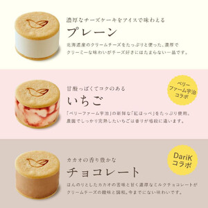 【ソラアオ】アイスチーズケーキサンド 2箱 | 京都 チーズケーキ専門店 人気セット