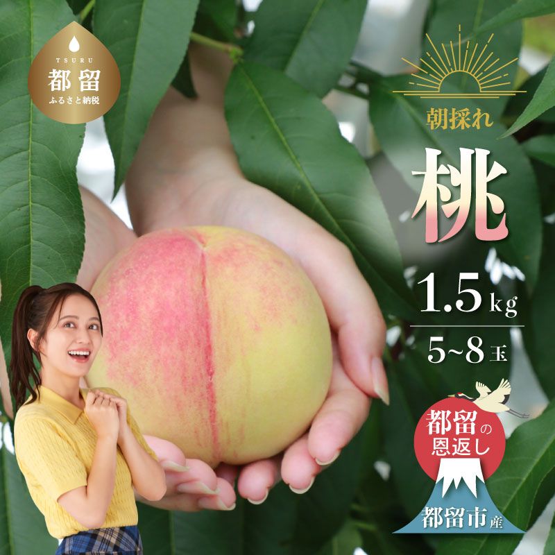 【ふるさと納税】【2026年 先行予約】日本一の産地 山梨県産　朝採れ桃約 1.5kg以上 (5〜7玉）| 山梨県 都留市産 都留の桃 数量限定 産地直送 山梨直送 送料無料　桃　モモ　もも