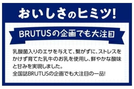 初恋の味　アイスヨーグルトセット 【 アリマン 菓子 デザート 詰め合わせ アイス ヨーグルト 】 