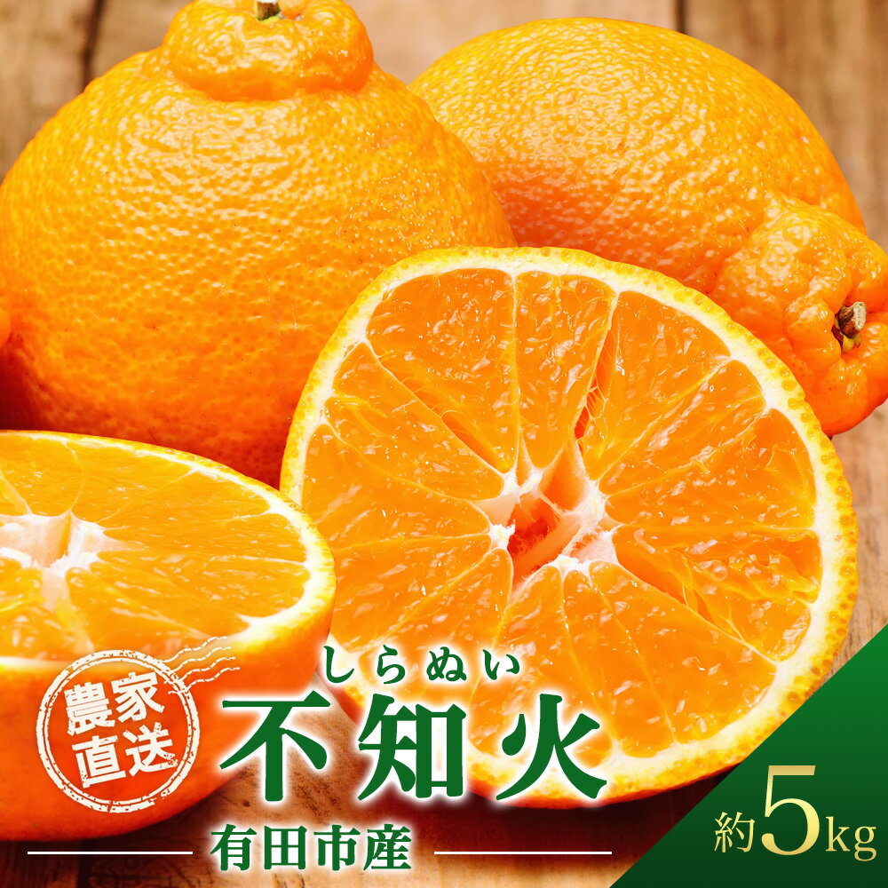 【ふるさと納税】【先行予約受付中！】不知火 しらぬい 約5kg デコポン 同品種 産地直送 5キロ 濃厚 甘い 柑橘 フルーツ 果物 くだもの みかん 人気 おすすめ レビュー高評価 ギフト 贈答 お取り寄せ 送料無料 国産 和歌山 有田市【2026年2月中旬より順次発送】（A68-1）