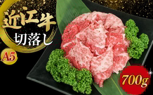 近江牛 切落し 700g A5 ランク 牛肉 肉 赤身 黒毛和牛 和牛 ブランド 国産 国産牛 国内産 すき焼き 切り落とし 切り落し 冷凍 贈り物 贈答 プレゼント ギフト お歳暮 神戸牛 松阪牛 に並ぶ 日本三大和牛 肉のげんさん 滋賀 彦根