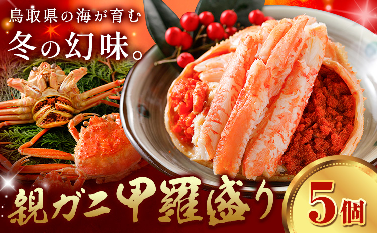 【ふるさと納税】カニ 親ガニ 甲羅盛り 5個 《30日以内に出荷予定(土日祝除く)》 SOO合同会社 鳥取県 八頭町 送料無料  蟹 かに 親がに 甲羅 ボイル