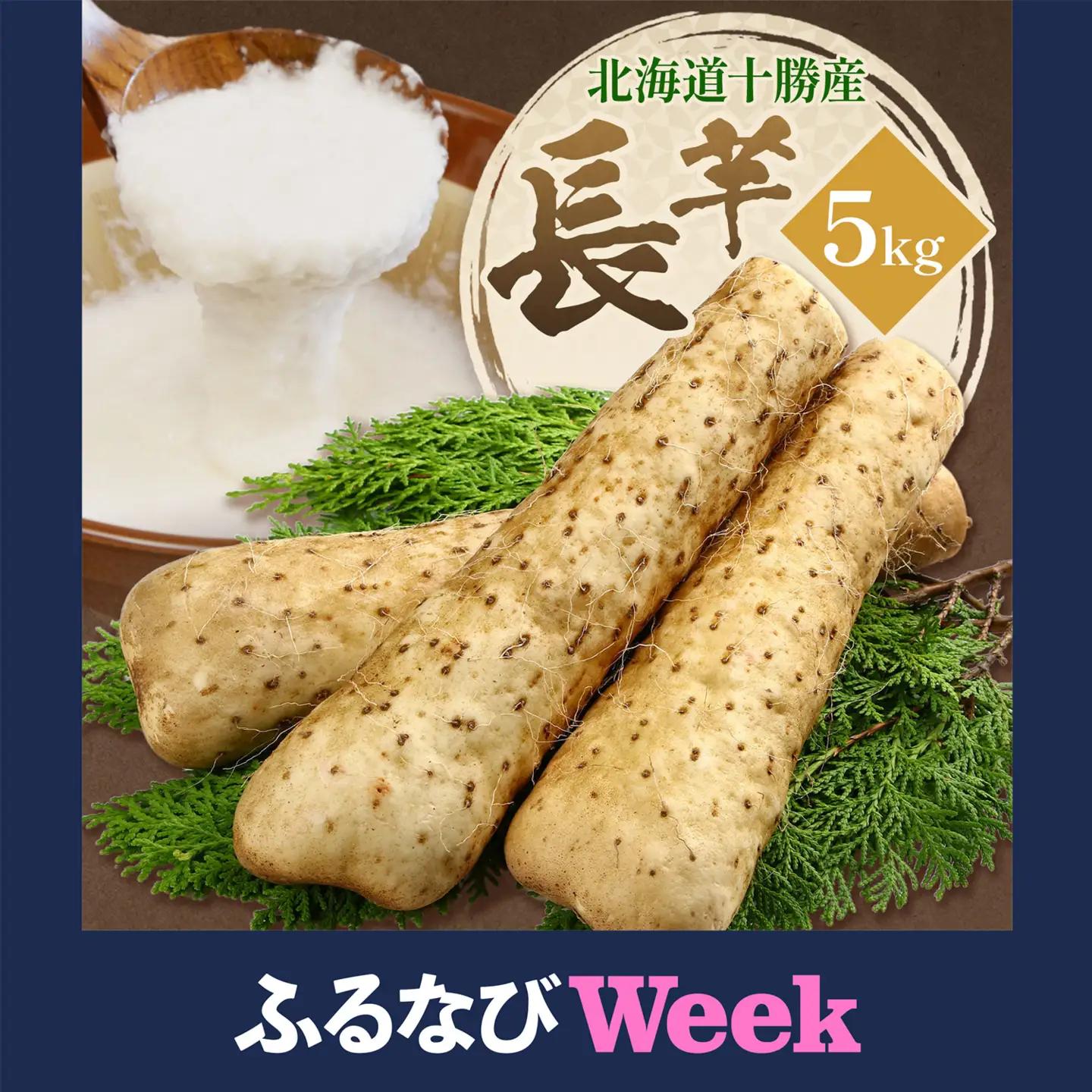 【ふるなびWEEK対象】 秋掘り ながいも 5kg 植村農場《12月上旬頃から出荷》