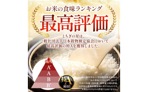 【令和8年産 新米】 【定期便6回】栃木県産 お米 とちぎの星　（無洗米） 10kg 【2026年秋 先行予約】 |  栃木県 矢板市 【栃木県共通返礼品 真岡市産】