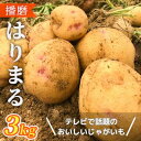 【ふるさと納税】【テレビで話題！】美味しいジャガイモ　はりまる 兵庫県産 3kg　【 野菜 じゃがいも 新品種 特産品 味が濃い きめ細やか 食感 なめらか 煮崩れ 調理 】　お届け：2024年8月上旬～2025年1月下旬