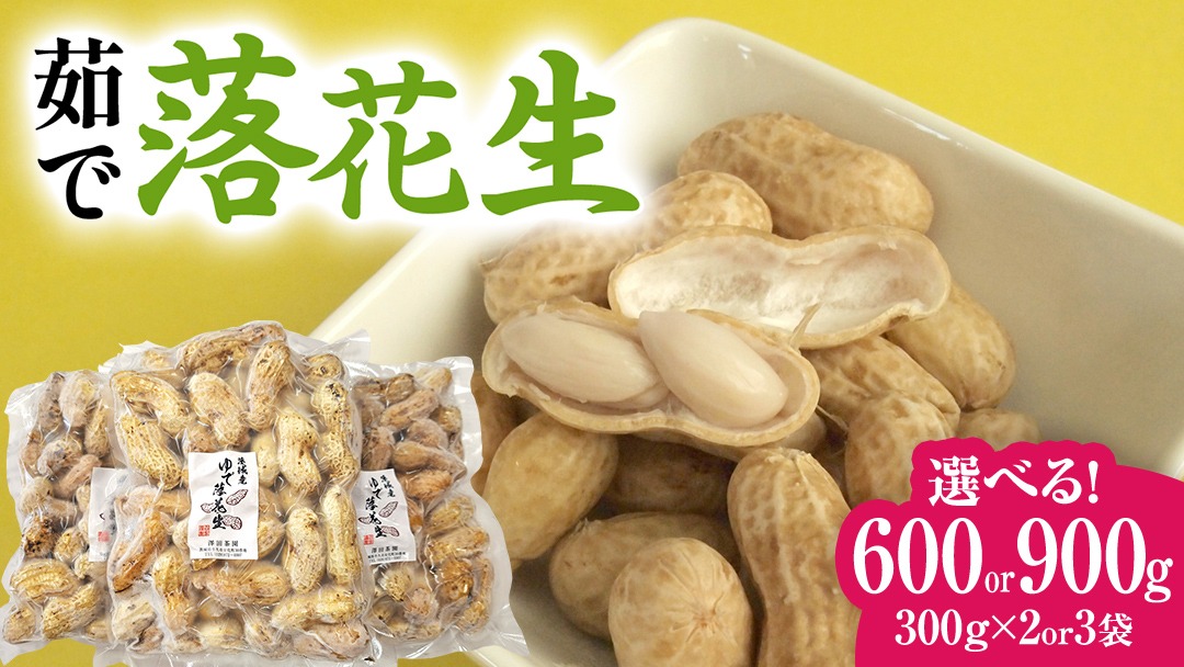 【 選べる 袋数 】 牛久市産 茹で 落花生 1袋 300g入り《 2袋 or 3袋 》 茹で落花生 ゆで落花生 ピーナッツ ナッツ 詰合せ 豆 無塩 塩分不使用 おつまみ おやつ お菓子 素焼き マメ まめ 料理 お茶漬け 国産 小分け お取り寄せ グルメ 茨城県