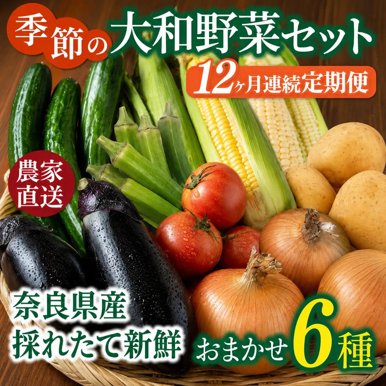 野菜 奈良県産 ※12ヶ月定期便※季節の大和野菜 おまかせ６種セット×12ヶ月  葛城市【smlk-tkb015】