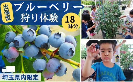 
            ブルーベリー出張農園18鉢分 （子ども摘み取り体験約100人分）
          