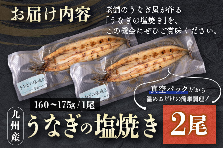 うなぎの塩焼き 2尾 合計320g以上 九州産【C403】