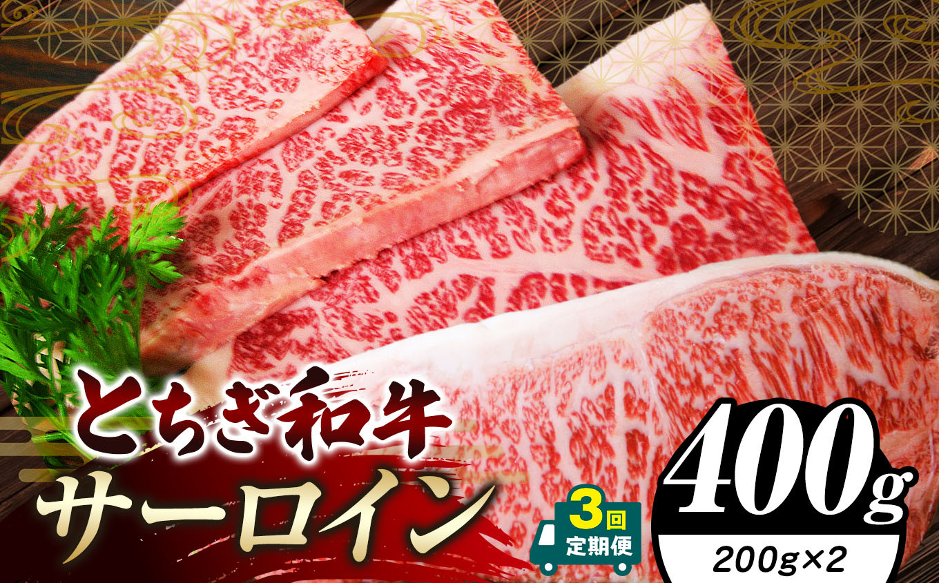 
            【定期便3回】栃木県共通返礼品 とちぎ和牛サーロイン (200g×2)×3回｜定期便3回 黒毛 和牛 牛肉 焼肉 ブランド和牛 とろける 霜降り 赤身 切り落とし ふるさと 納税 イチオシ おすすめ 栃木県 下野市 しもつけ市
          