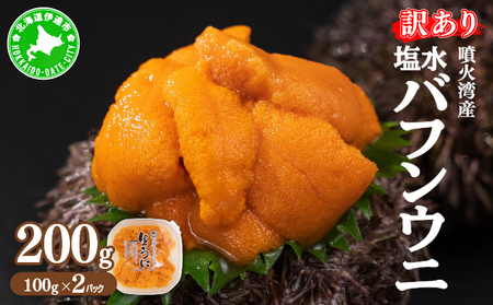 訳あり 北海道 噴火湾産 塩水 バフンウニ 100g 2パック 計200g ミョウバン不使用 うに ウニ 雲丹 海鮮 海の幸 魚介類 ウニ丼 お寿司 濃厚 無添加 産地直送 お取り寄せ 山村水産 送料無料