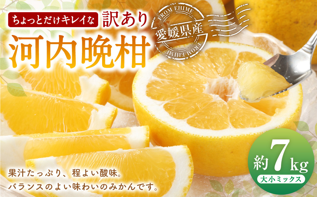 
                  河内晩柑 ちょっとだけキレイな 大小ミックス （7kg） 【えひめの町（超）推し！（愛南町）】【2026年8月上旬までに発送予定】(515-1)
                