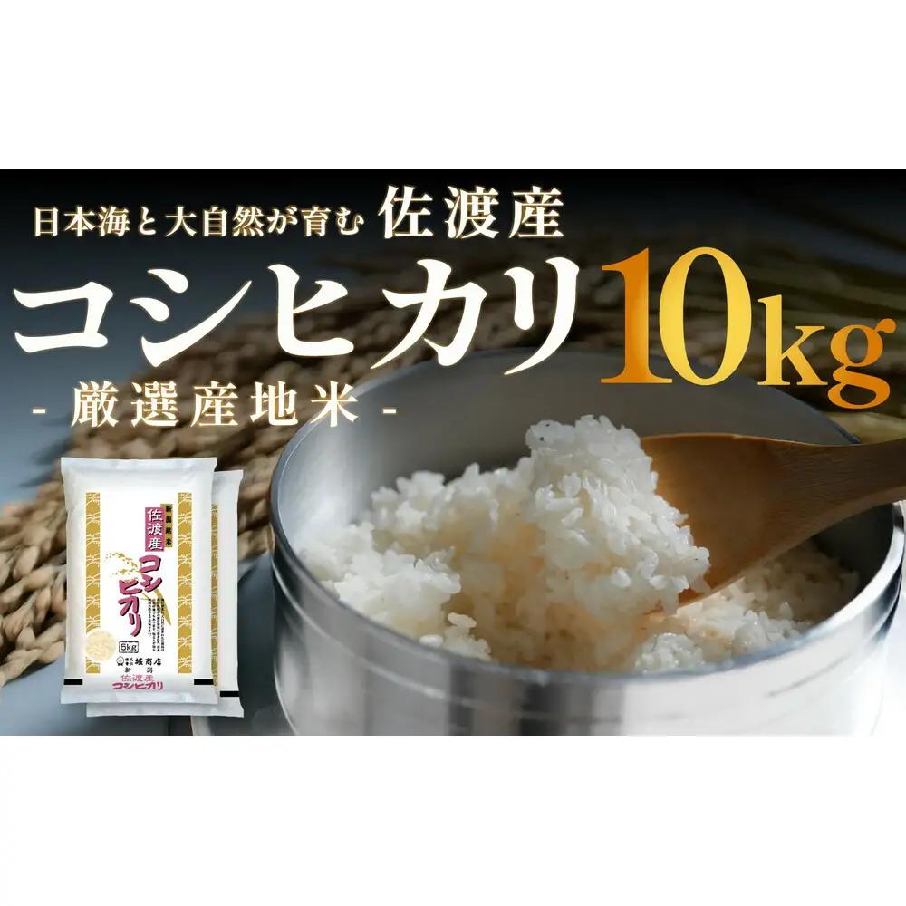 コシヒカリ 10kg (5kg 2袋) 令和7年産 | 新潟県 佐渡市 コシヒカリ