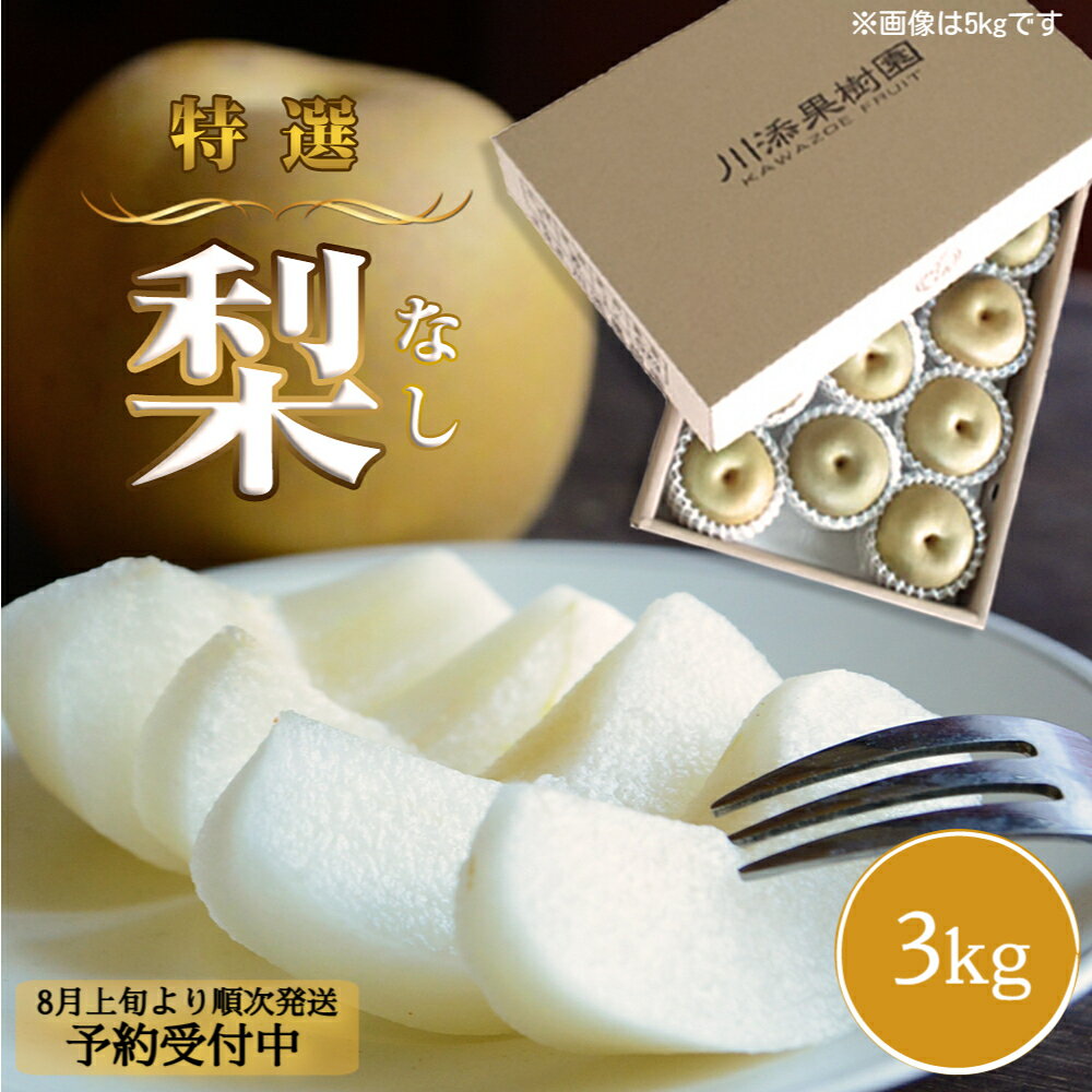 【ふるさと納税】 【予約受付中・8月上旬頃より順次発送】旬の品種をお届け！ 川添果樹園の特選 梨 約3kg 徳島県産 和梨 幸水 豊水 南水 秋月 新高 国産 鳴門