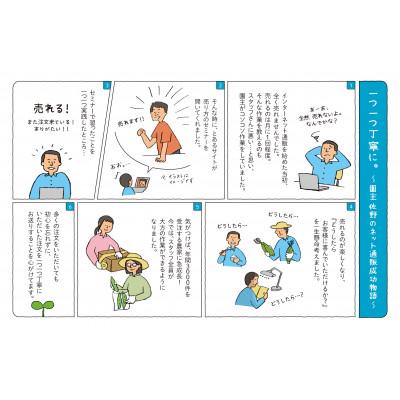 ふるさと納税 秦野市 ええ?大飢饉を救った?【春を告げる野菜】のらぼう菜　1200g |  | 01