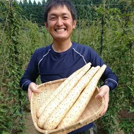 【青森県五戸町特産】長芋　10kg【配送不可地域：離島・沖縄県】【1017943】