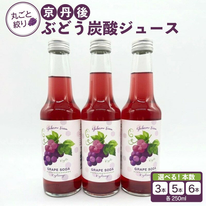 【ふるさと納税】京丹後のぶどう炭酸ジュース（ソーダ） （2026年11月中旬～発送）選べる 3本入り 5本入り 6本入り