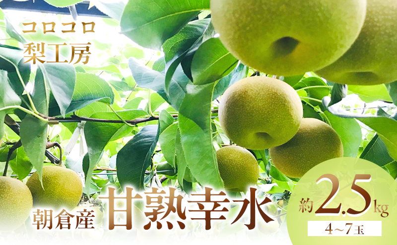 梨 幸水 まるで食べる梨ジュース！！甘熟 幸水梨 約2.5kg 4～7玉入 配送不可 離島