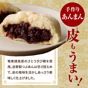 国産小麦の手作り肉まん・あんまんセット6個入[各3個] 「京都山城産」たけのこ入り 豚バラブロック肉入り 肉まん 北海道産小麦 にくまん 肉まん  北海道産小麦 北海道産小豆 あんまん 自家製つぶあん