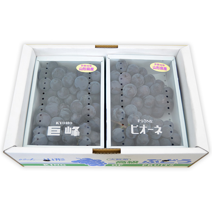 山形のぶどうセット 秀品 約2kg(ピオーネ約1kg2房前後・巨峰