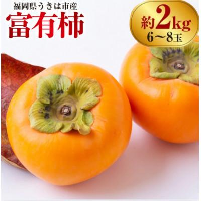 ふるさと納税 うきは市 【先行予約】西見柿農園 富有柿 6玉から8玉 (約2kg)【2026年11月上旬より順次発送予定】