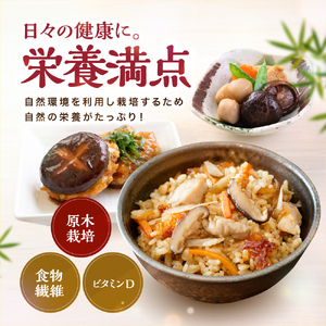 大分県産 どんこ 乾燥椎茸 50g×2 | 乾しいたけ 干し椎茸 干ししいたけ 乾燥しいたけ 干しシイタケ 大分県産 九州産 中津市