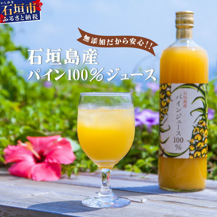 【ふるさと納税】石垣島産パイン100%ジュースセット 果汁100% ストレート パイナップル 飲料類 沖縄県石垣市 贈答用 プレゼント 送料無料